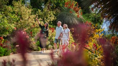 Eden Project guide showing two visitors around the Mediterranean Biome